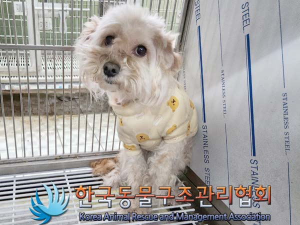 한국동물구조관리협회_441560202400531